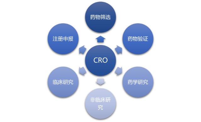 醫(yī)藥CRO行業(yè) 從萌芽到勃興的演進(jìn)之路與競(jìng)爭(zhēng)壁壘剖析