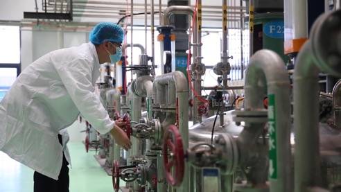 責任民企顯擔當，靠上服務助復產——泰安生物技術企業(yè)馳援抗疫一線